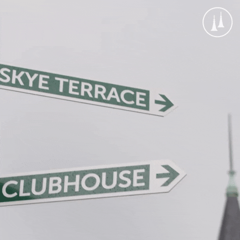 TwinSpires GIF