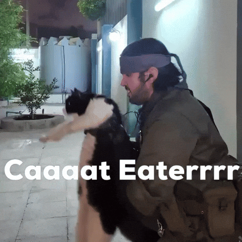 Snake Eater Cat GIF