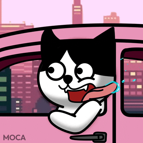 Driving On My Way GIF by Moca Network