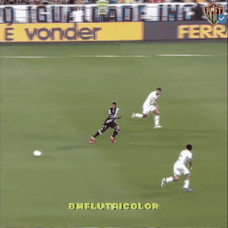 Fluminense GIF