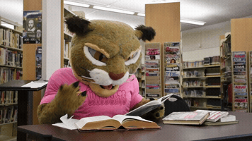 Brawleyunion GIF by brawleywildcat