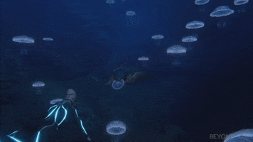 jelly fish jellies GIF by Beyond Blue