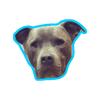 Success Just Clicks Sticker