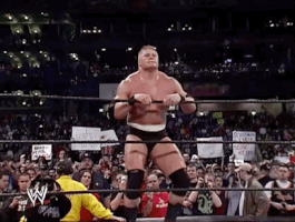 brock lesnar wrestling GIF by WWE