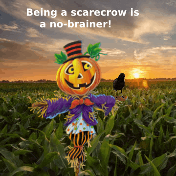Scarecrowism meme gif