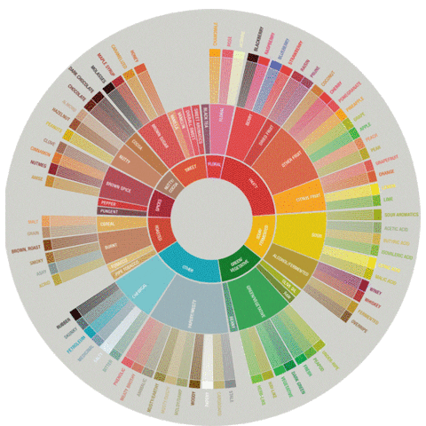 Specialty Coffee Sticker by Sunergos Coffee