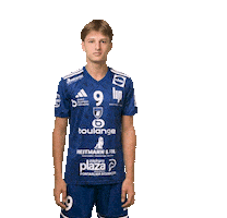 France Hand Sticker by GRAND BESANÇON DOUBS HANDBALL