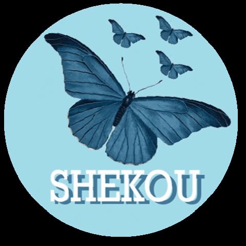 Butterflies Stay Fresh GIF by Shekou Woman