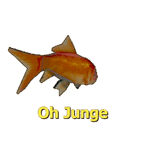 Goldfish Bacchus Sticker