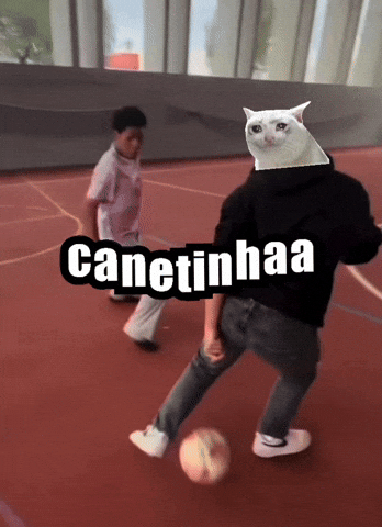 Fialho Apanhou Pro Silfarley GIF