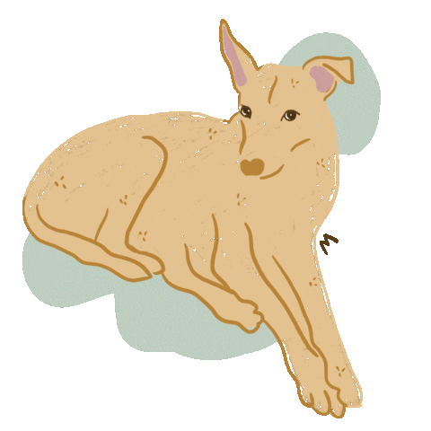 Sticker by angielucoach