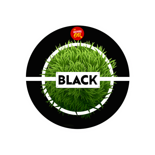 Football Sticker by Deliveryonapp