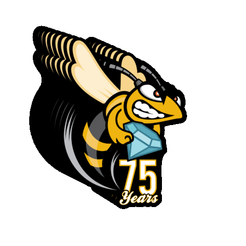 75 logo with hornet flying around