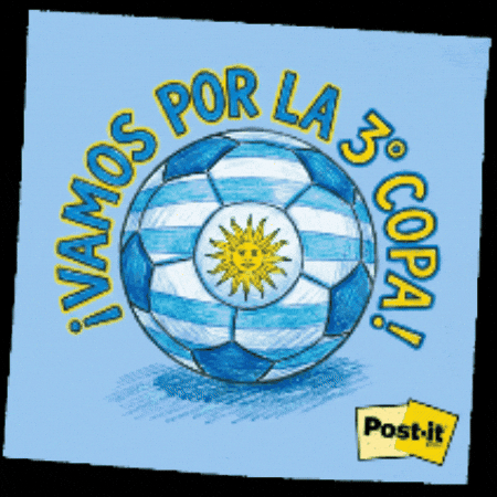Uruguay Laceleste GIF by 3M