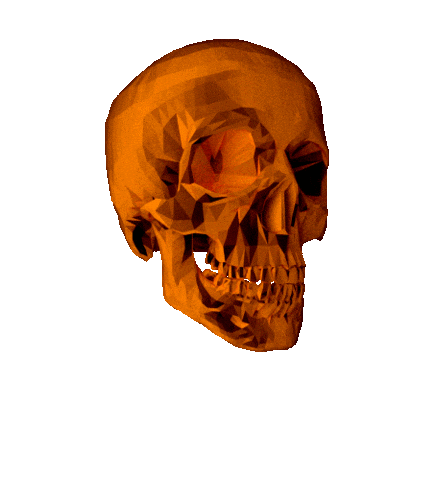 skull tumblr
