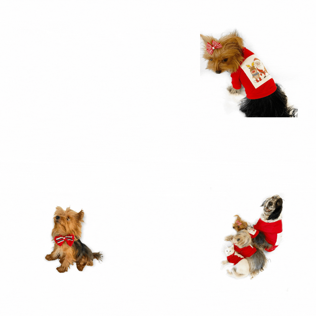 Kemique GIF
