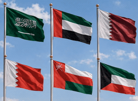 Uae Qatar GIF