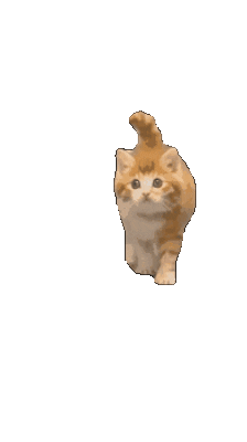 Source: De Graafschap Dierenartsen