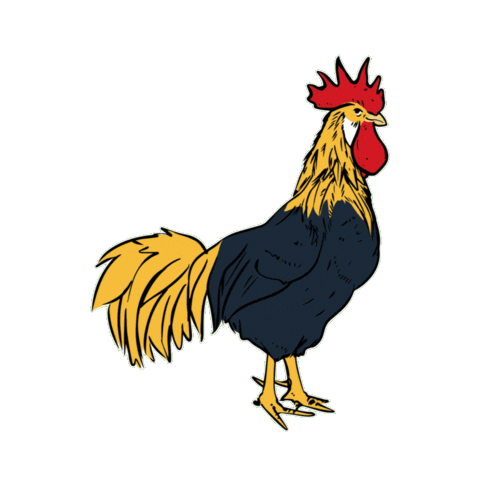 Chicken Rooster Sticker by Sunrise Records