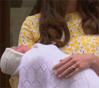 british royal family