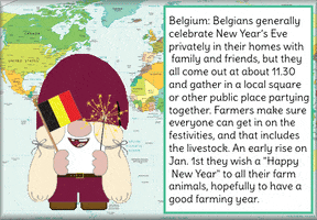 New Years Eve Belgium GIF