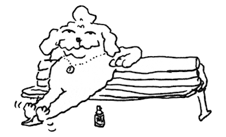 Dog Ok Sticker
