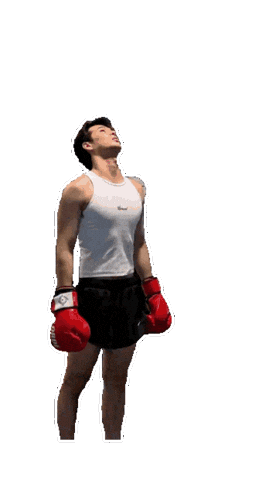 Boxing Cutie Sticker