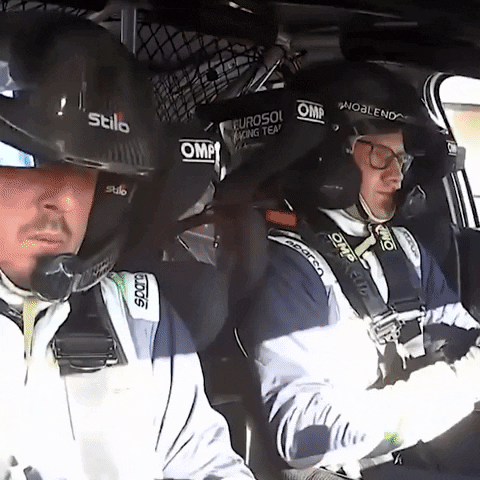 Well Done Sport GIF by FIA European Rally Championship