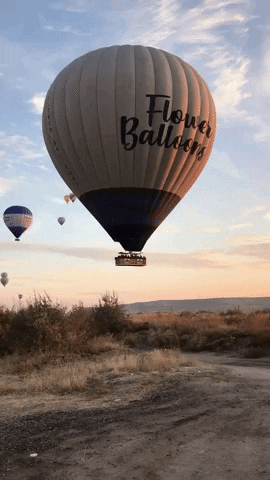 balloons balon cappadocia GIF