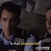 Is That Normal GIF by Wellington Paranormal