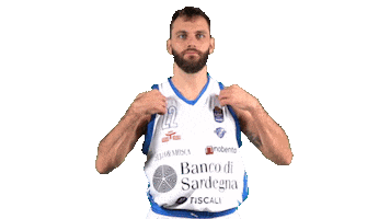 Basketball Sticker by Dinamo Sassari