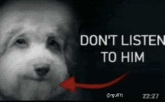 Dog Listen GIF