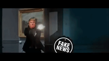 Trump Vs Fake News GIF