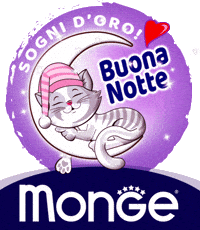 Mongepet-cane-gatto-monge-wJWlHTNN4n39uW8Yaw