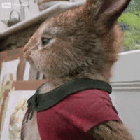 Cute-kid-shocked GIFs - Get the best GIF on GIPHY Cute-kid-shocked GIFs - Get the best GIF on GIPHY