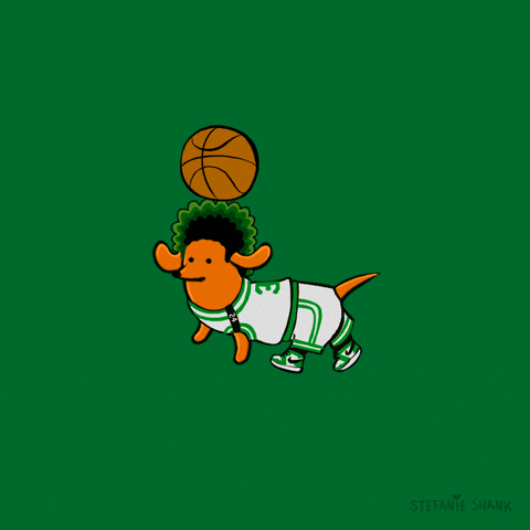 Boston Celtics Dog GIF by Stefanie Shank