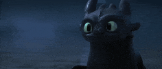 dreamworks yes GIF by How To Train Your Dragon