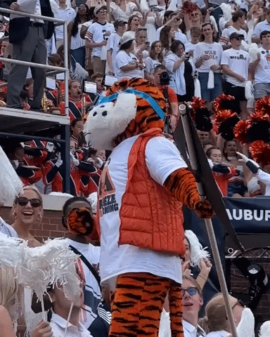 Happy Auburn Football GIF by Auburn Tigers