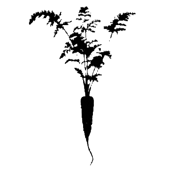 nourishedtogo Sticker