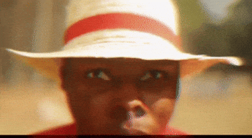 Monkey D Luffy GIF