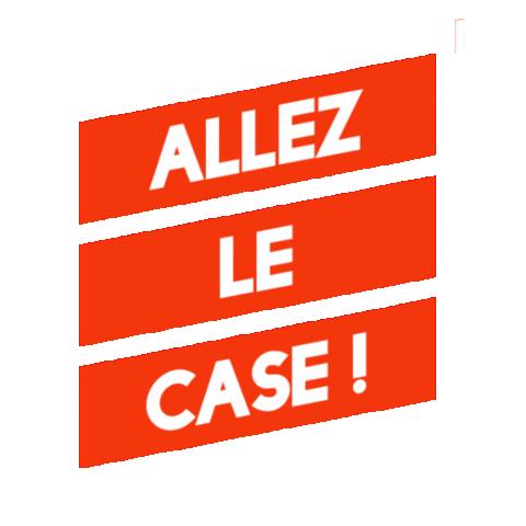 Case Volley Sticker