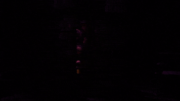 Vampire Dracula GIF by segalcentre