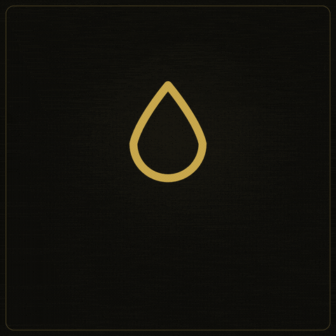 Up GIF by Dekant Atelier