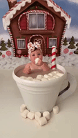 Hot Chocolate Season