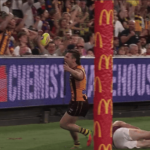 The Wizard Afl GIF