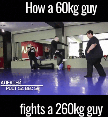 giphy.gif