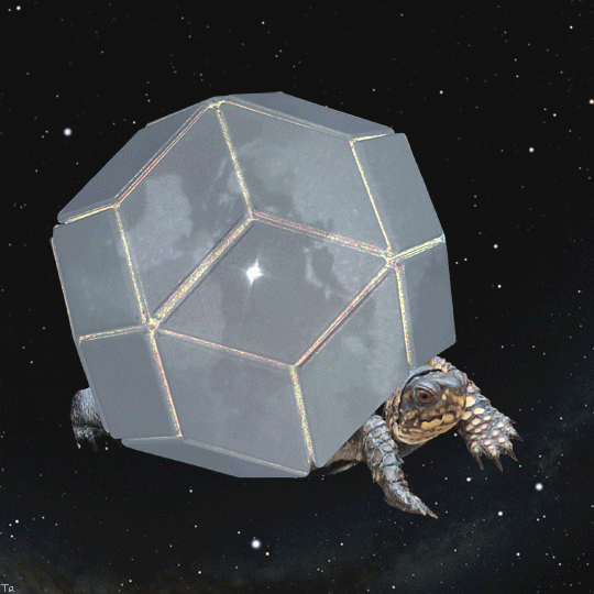 Box Turtle Space GIF by Trevor Anderson