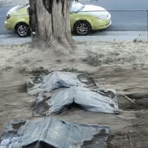 Bigg32 GIF