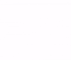 Café Ocelote GIF