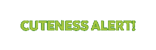 Dierenverblijf Sticker
